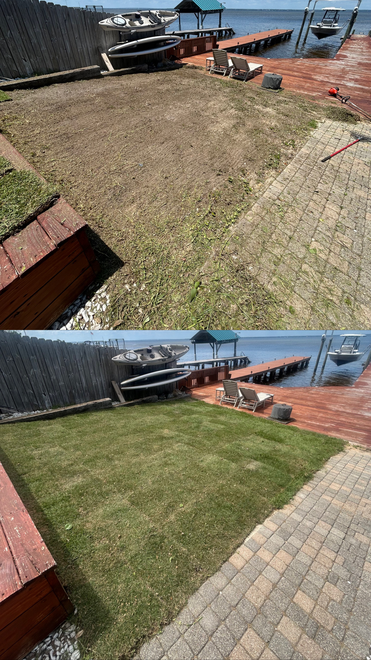 Expert Sod Installation for a Healthy, Long-Lasting Lawn